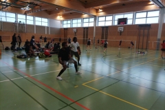 IMG-20250225-WA0006